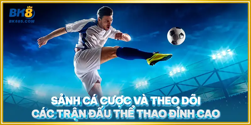 Sảnh cá cược và theo dõi các trận đấu thể thao đỉnh cao